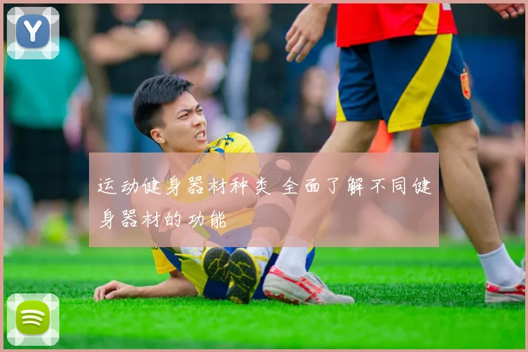 运动健身器材种类 全面了解不同健身器材的功能